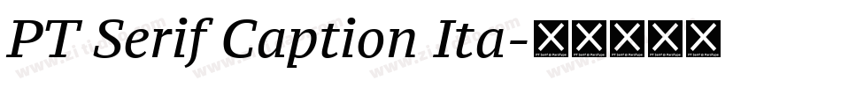 PT Serif Caption Ita字体转换